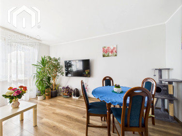 Mieszkanie Bielsko-Biała sprzedaż