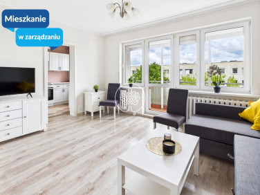 Mieszkanie przy lesie