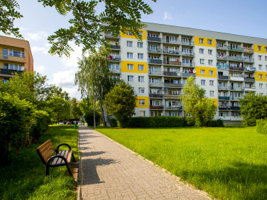 Mieszkanie Kielce