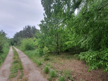 Działka budowlana Rozalin