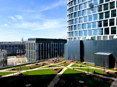 Mieszkanie Katowice wynajem