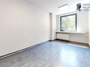 Lokal Katowice