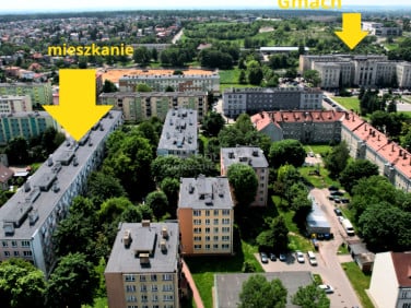 Mieszkanie Chełm