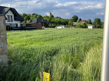 Działka Brzezna