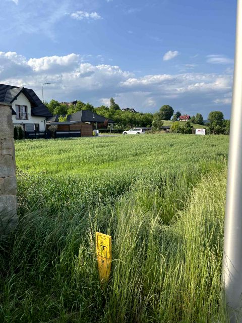 Działka Brzezna