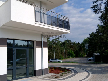 Lokal Toruń