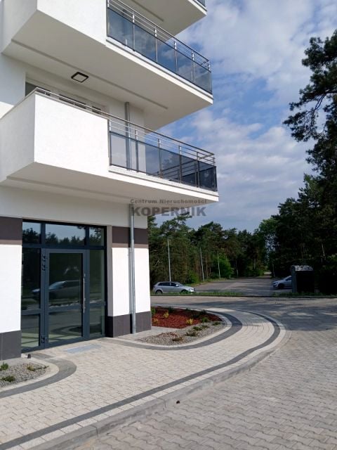 Lokal Toruń