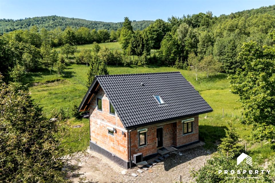 Dom Świnna