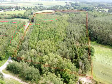 Działka leśna Brodnica