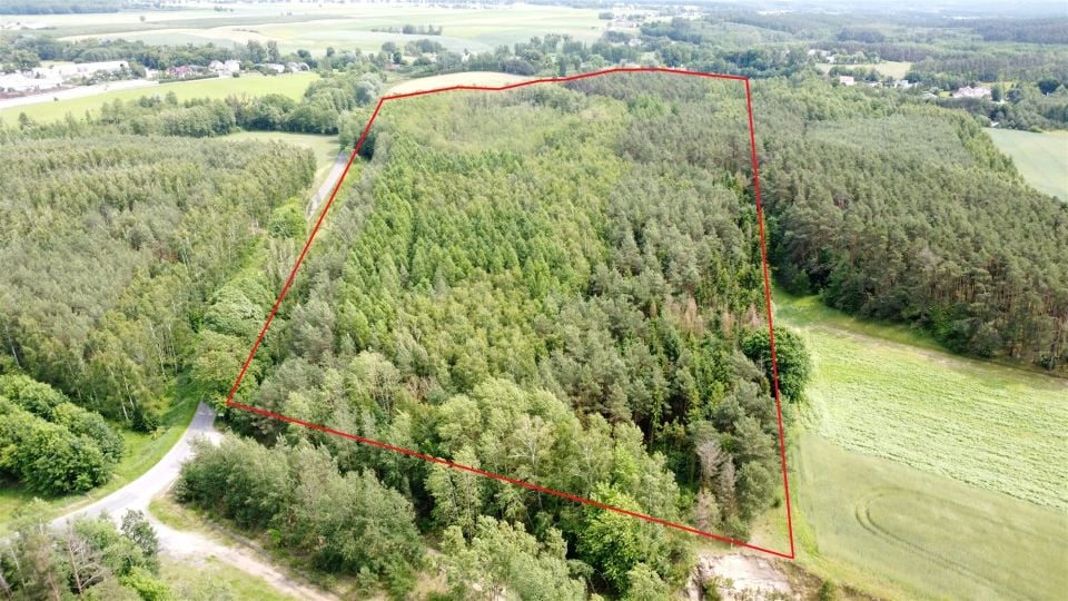 Działka leśna Brodnica