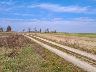 Działka budowlano-rolna Złotowo