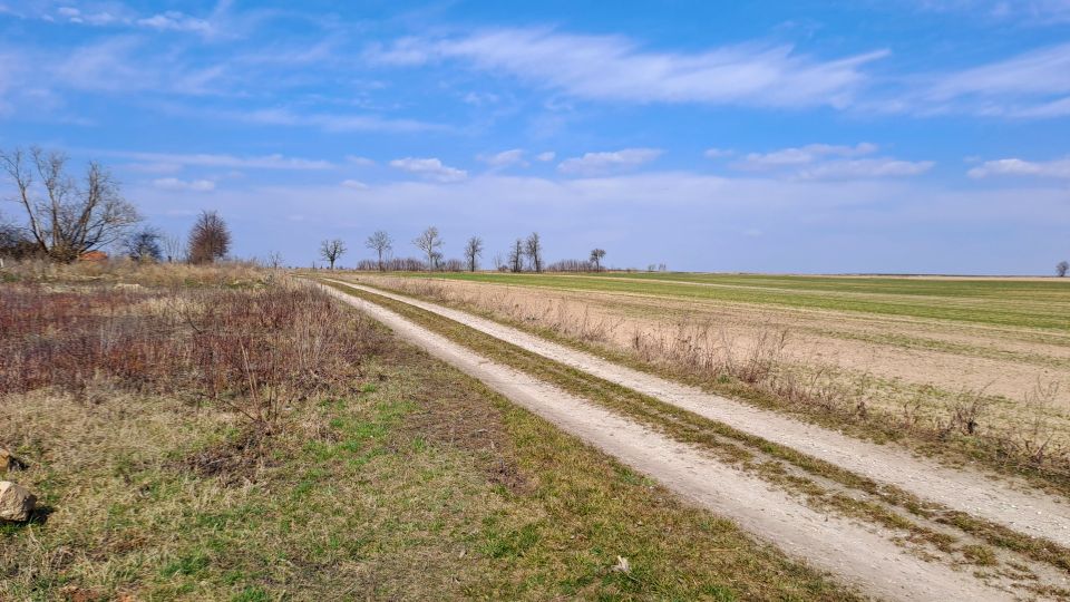 Działka budowlano-rolna Złotowo