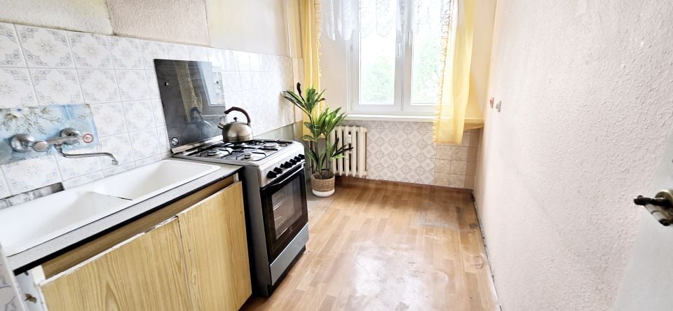 Mieszkanie Toruń