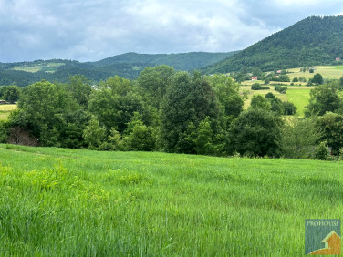 Działka Pisarzowa