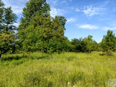 Działka nad rzeką