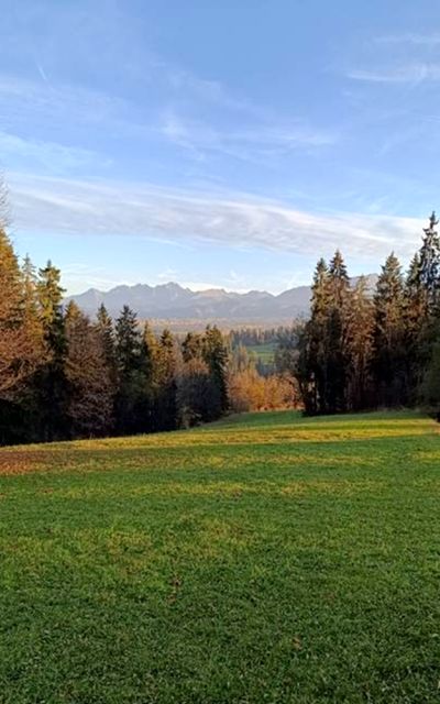 Działka Suche