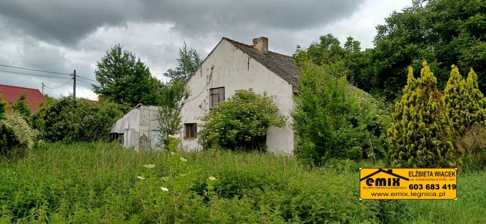 Działka budowlana Wojciechów