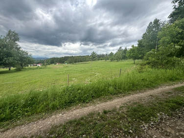 Działka budowlana Kudowa-Zdrój
