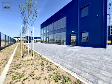 Lokal Koszalin
