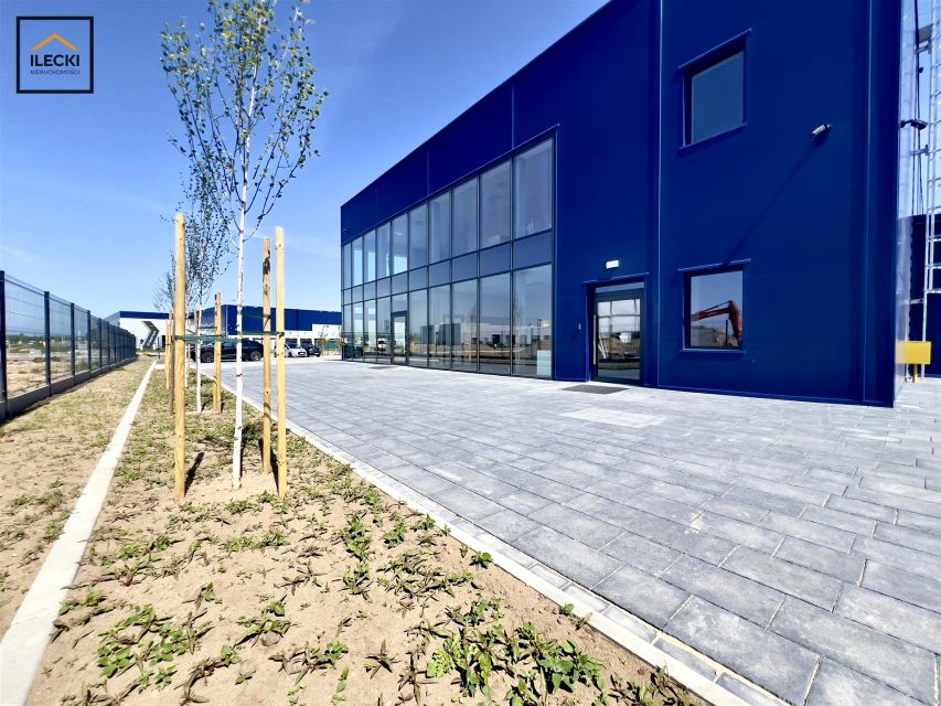 Lokal Koszalin