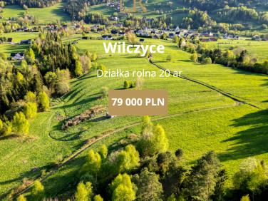 Działka rolna Wilczyce