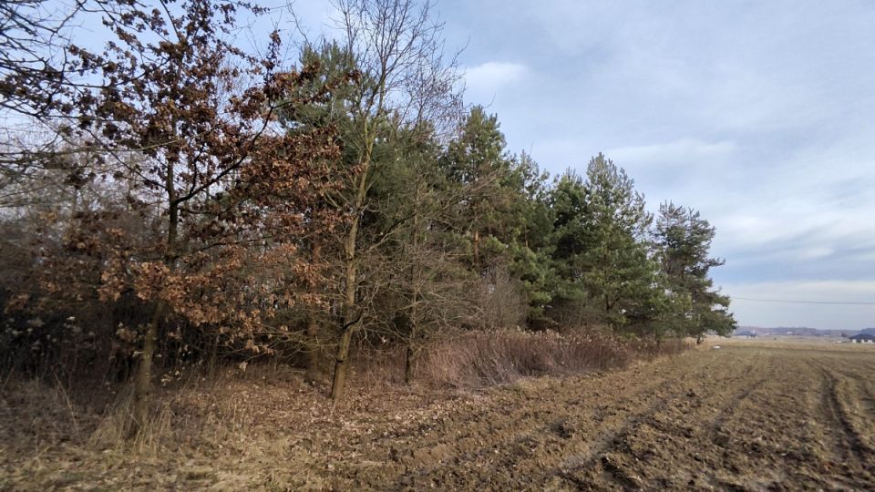 Działka rolna Wielopole