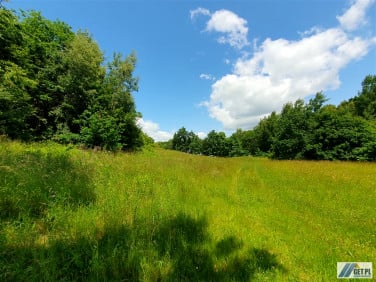 Działka Szczodrkowice