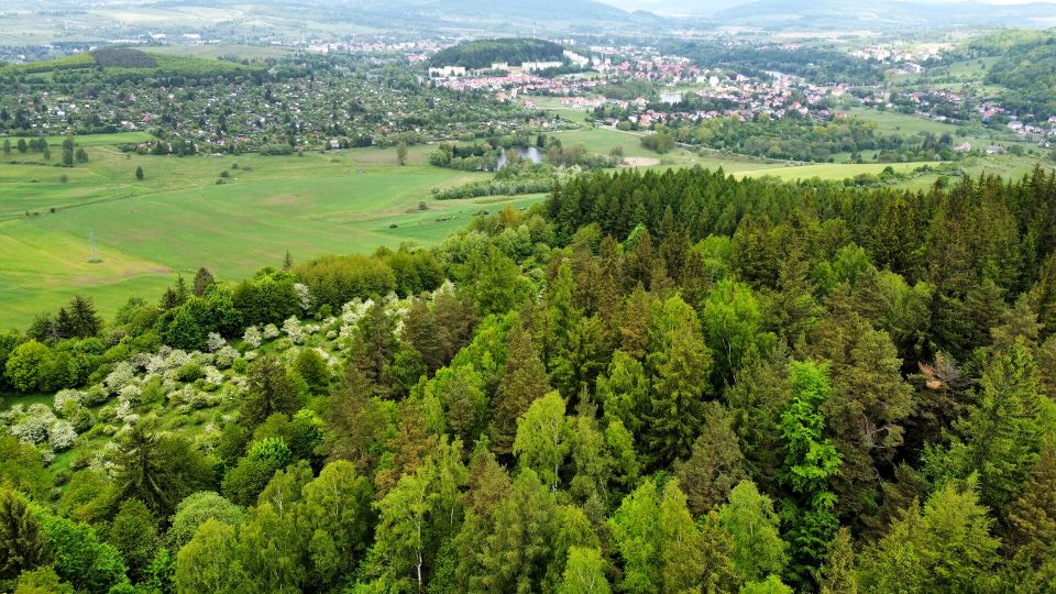 Działka Przedwojów