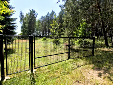 Działka przy lesie