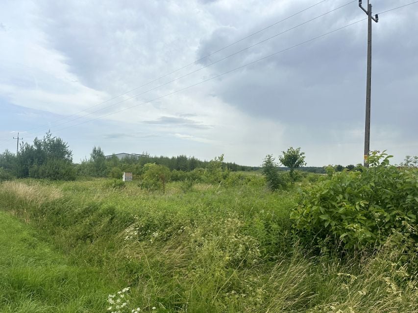 Zdjęcie 2