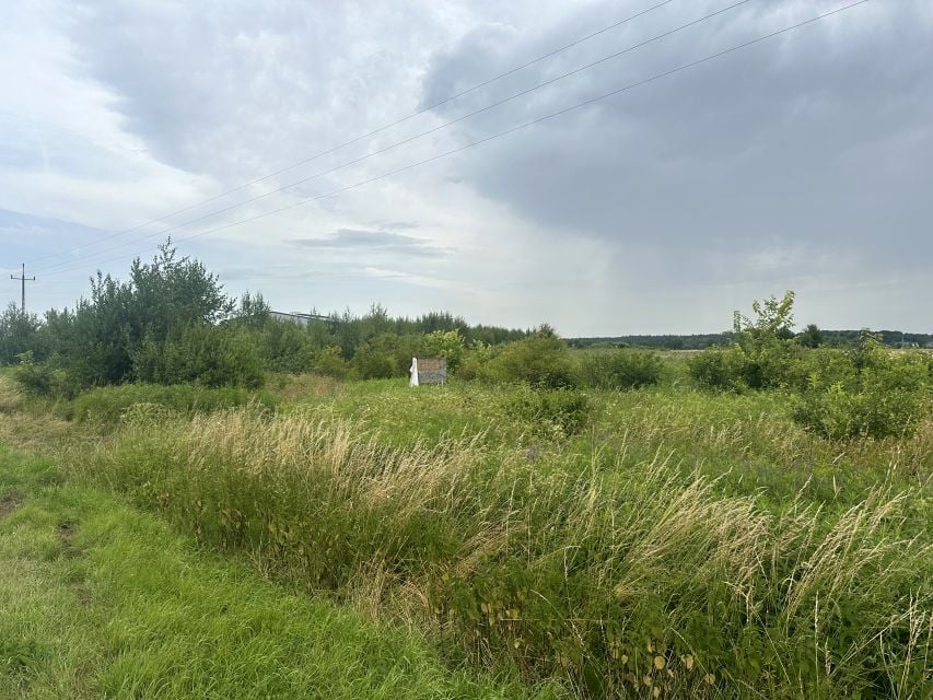 Zdjęcie 3
