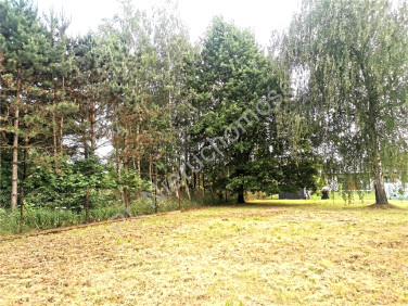 Działka budowlana Budy-Grzybek