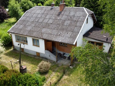 Dom Sanok