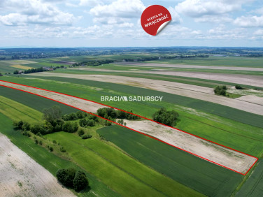 Działka Prandocin-Iły