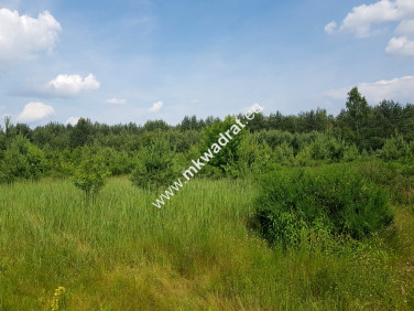 Działka rolna Grzegorzewice