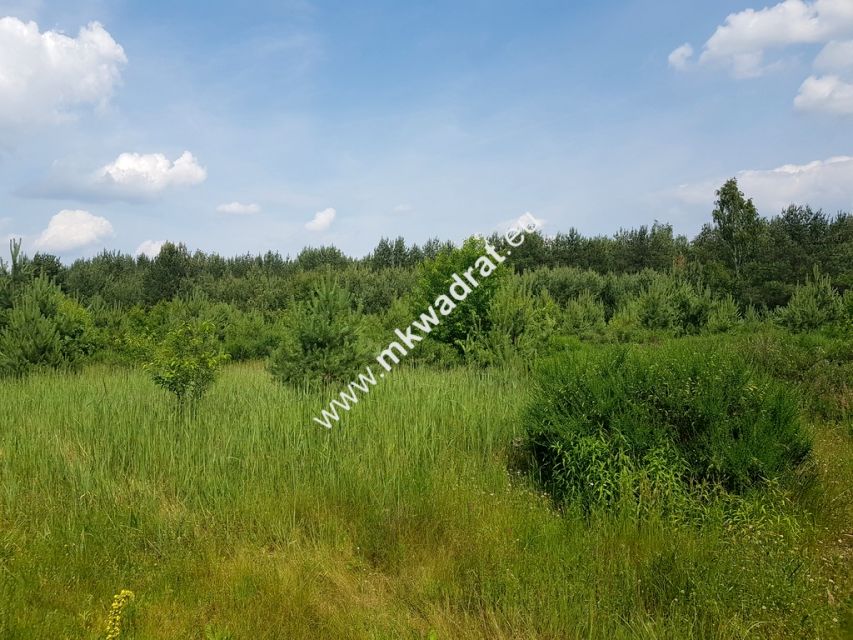 Działka rolna Grzegorzewice