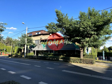 Lokal Rybnik