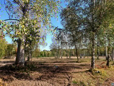 Działka budowlana Będzin
