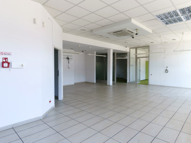 Lokal Siemianowice Śląskie
