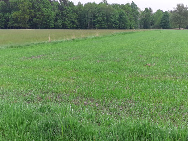 Działka budowlana Orzesze sprzedam