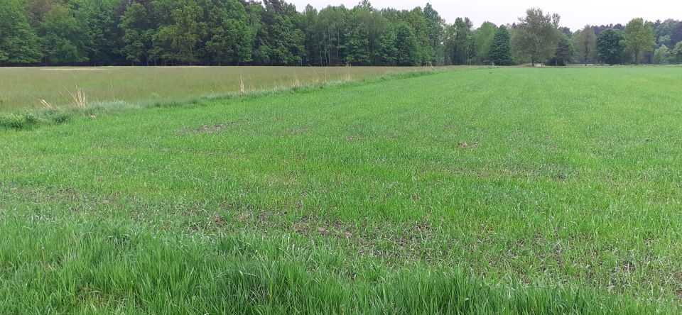 Działka budowlana Orzesze sprzedam