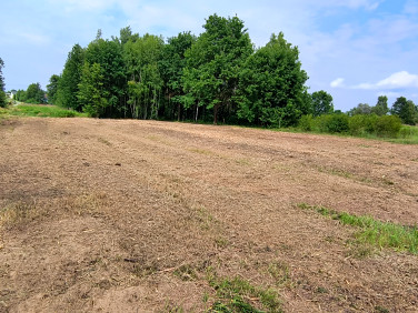 Działka budowlana Jodłówka sprzedam