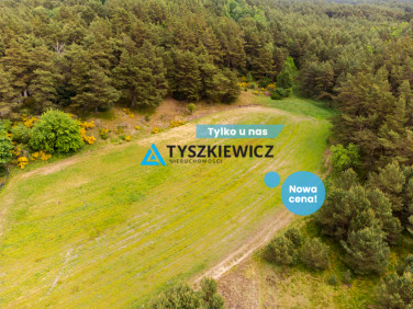 Działka Ostrowo