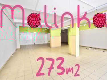 Lokal Opole