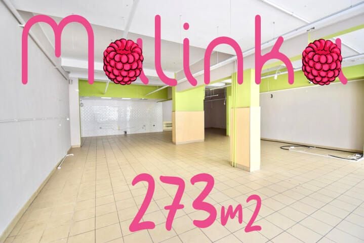 Lokal Opole