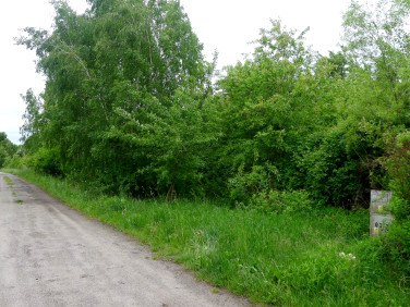 Działka budowlano-rolna Dzierżązna