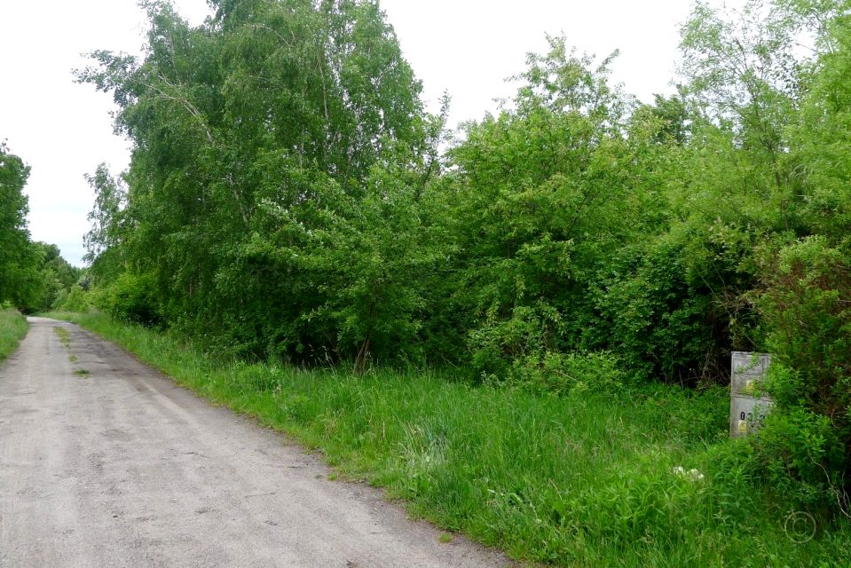Działka budowlano-rolna Dzierżązna