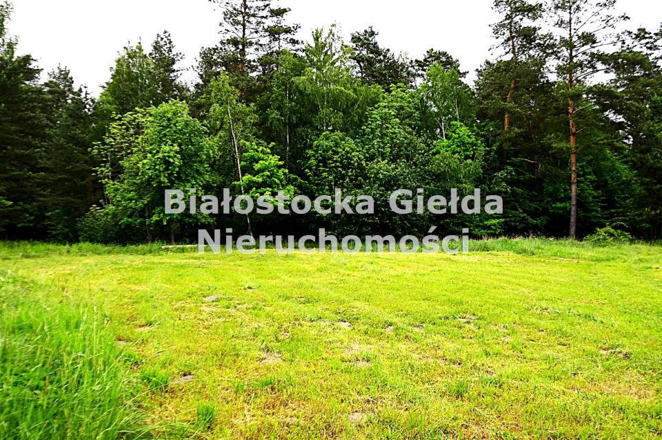 Działka przy lesie