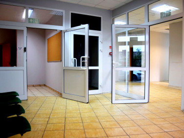 Lokal Zielona Góra