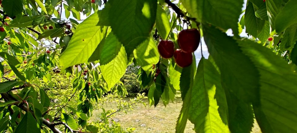 Działka budowlana Łódź